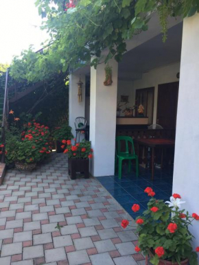 Guest house Zelyony Ray